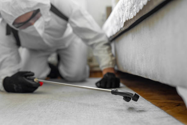 Professional Cockroach Control technician working in Higginsville, MO