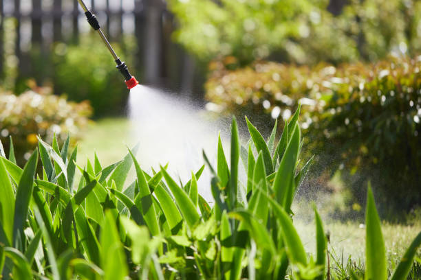 24/7 Emergency Cockroach Control experts in Higginsville, MO