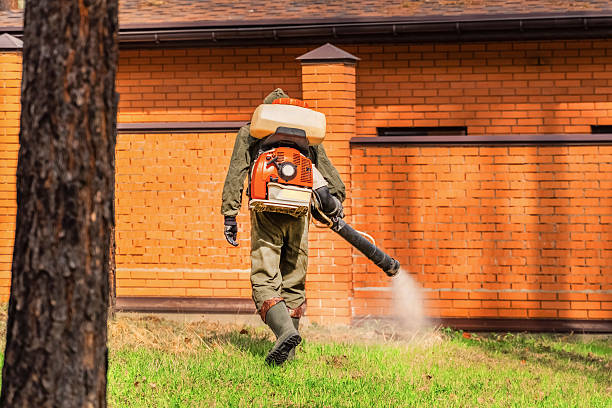 Top rated local Cockroach Control specialists in Higginsville, MO